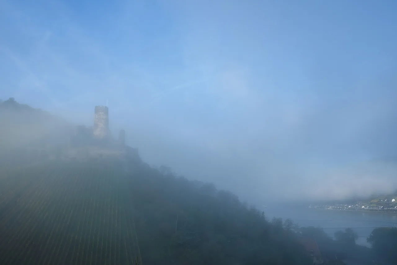 A valley filled with light morning mist under a blue sky. On the left a castle ruin rises above a slope planted with vines; bottom right, the river with a row of houses on the far bank.