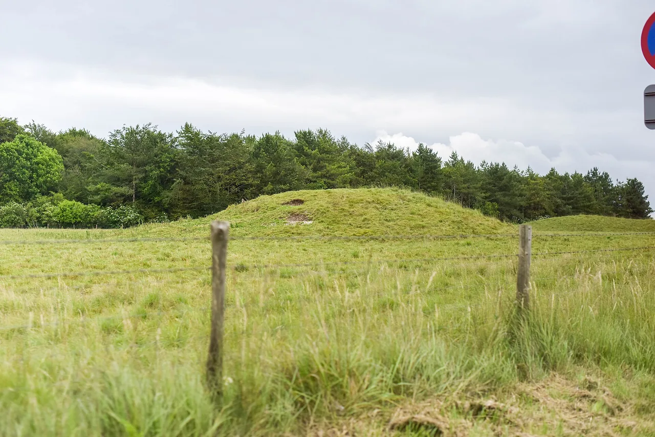 A low, round grassy mound behind a barbed-wire fence in tall grass, with a row of trees behind it under a grey sky.