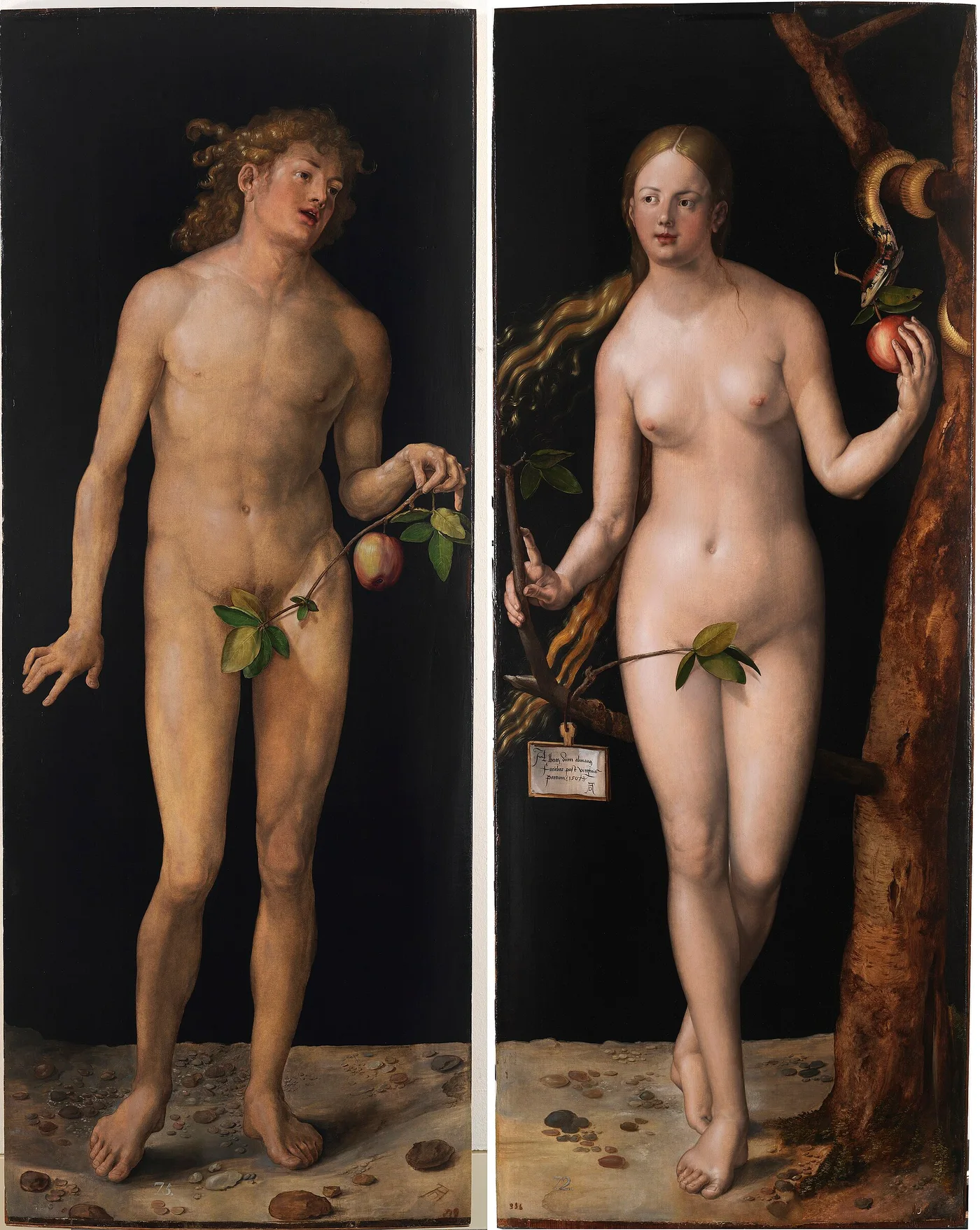 Adam en Eva — Albrecht Dürer