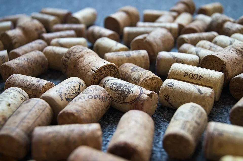 Wine corks as a finished product. The photograph does not show the first bark harvest.